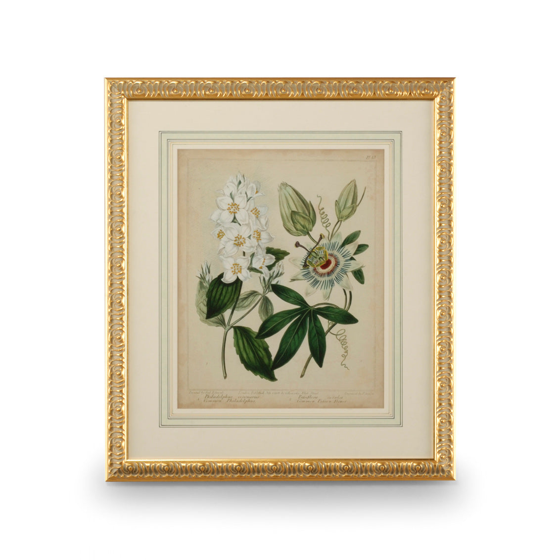 Cottage Floral II-ART