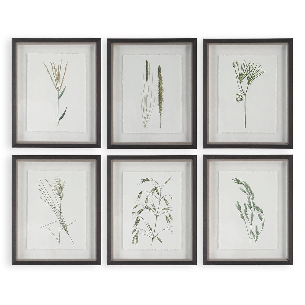 Forest Finds Framed Art-priced seperately