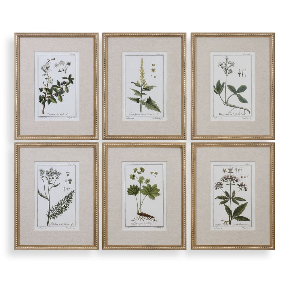 Green Floral Botanical Study Framed Prints-priced seperately