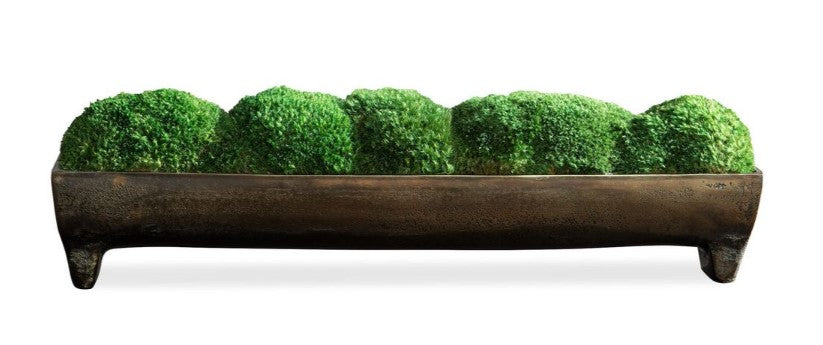 Moss Centerpiece