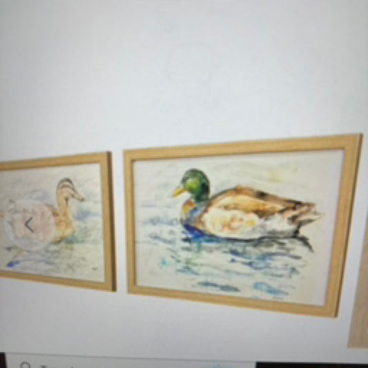 Water Duck S/2