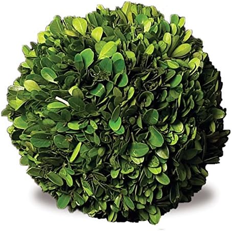 Napa Home and Garden Preserved Greens Ball 6"