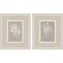 Delicate Botanicals Art-Sold Seperately