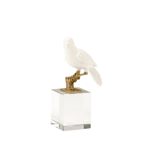 Parrot on crystal-square