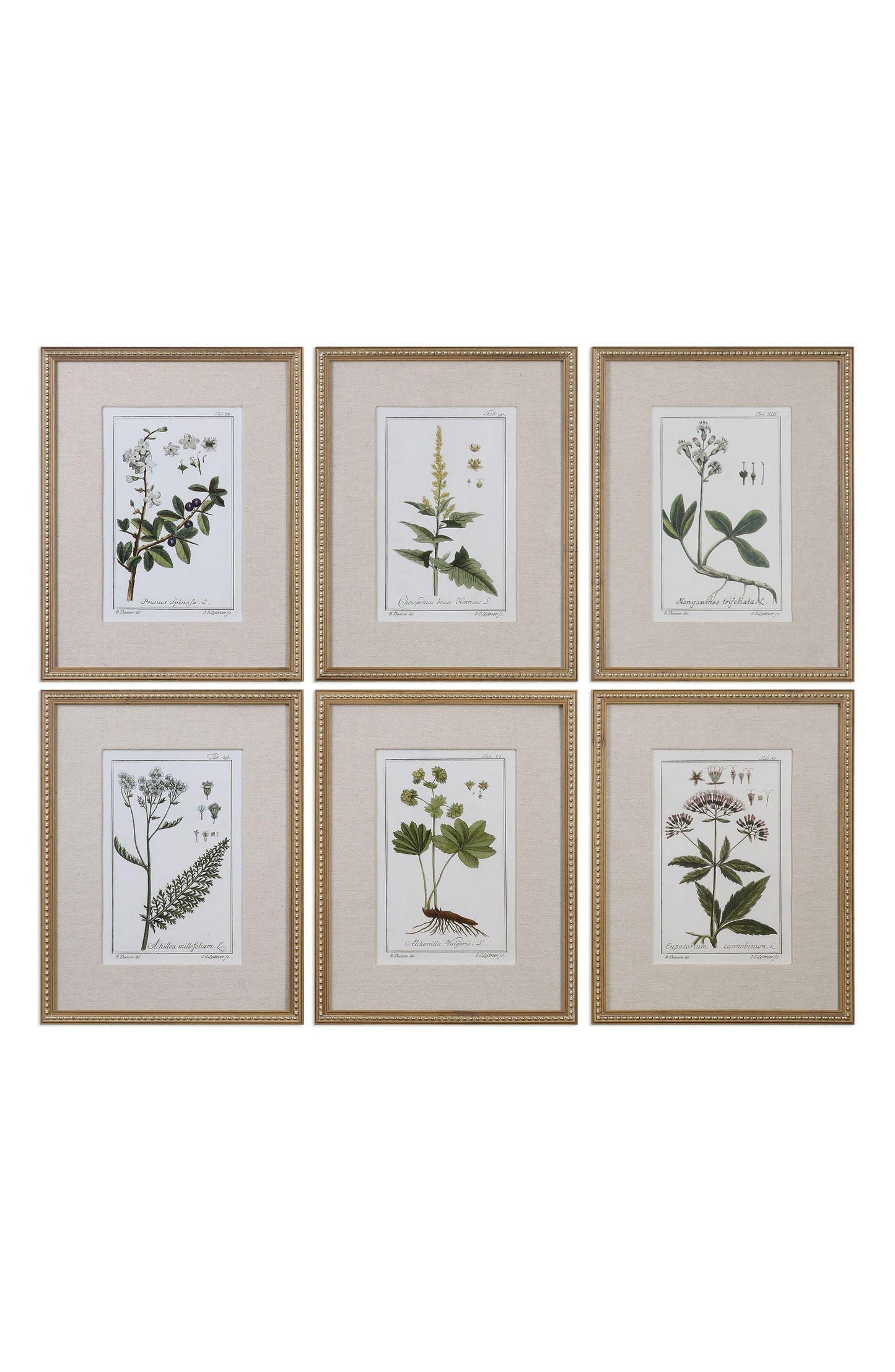 Green Floral Botanical Study Wall Art-Pair remaining(sold seperately)