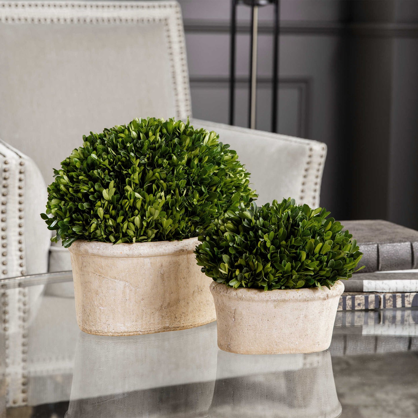 Preserved Boxwood Oval Domes (small),