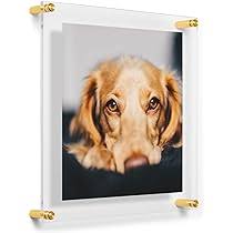 Double Panel Acrylic Floating Wall Frames15 x 18 (For 11 x 14 ART)