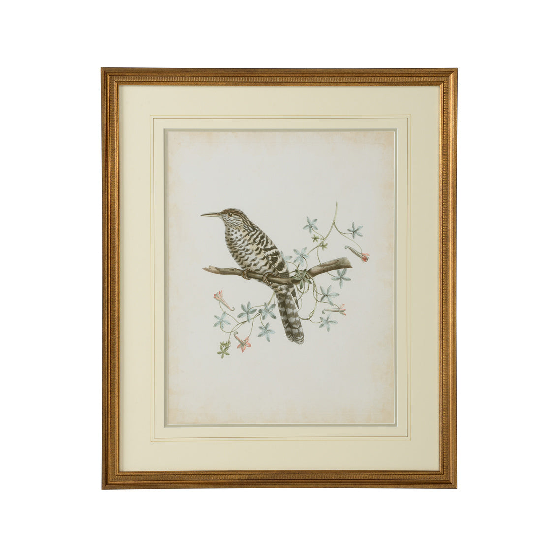 Delicate Birds II
