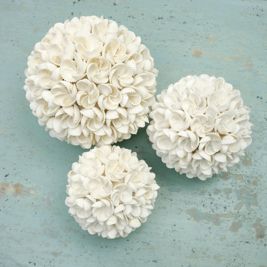 Decorative Shell Decor (sold as a set of 3)