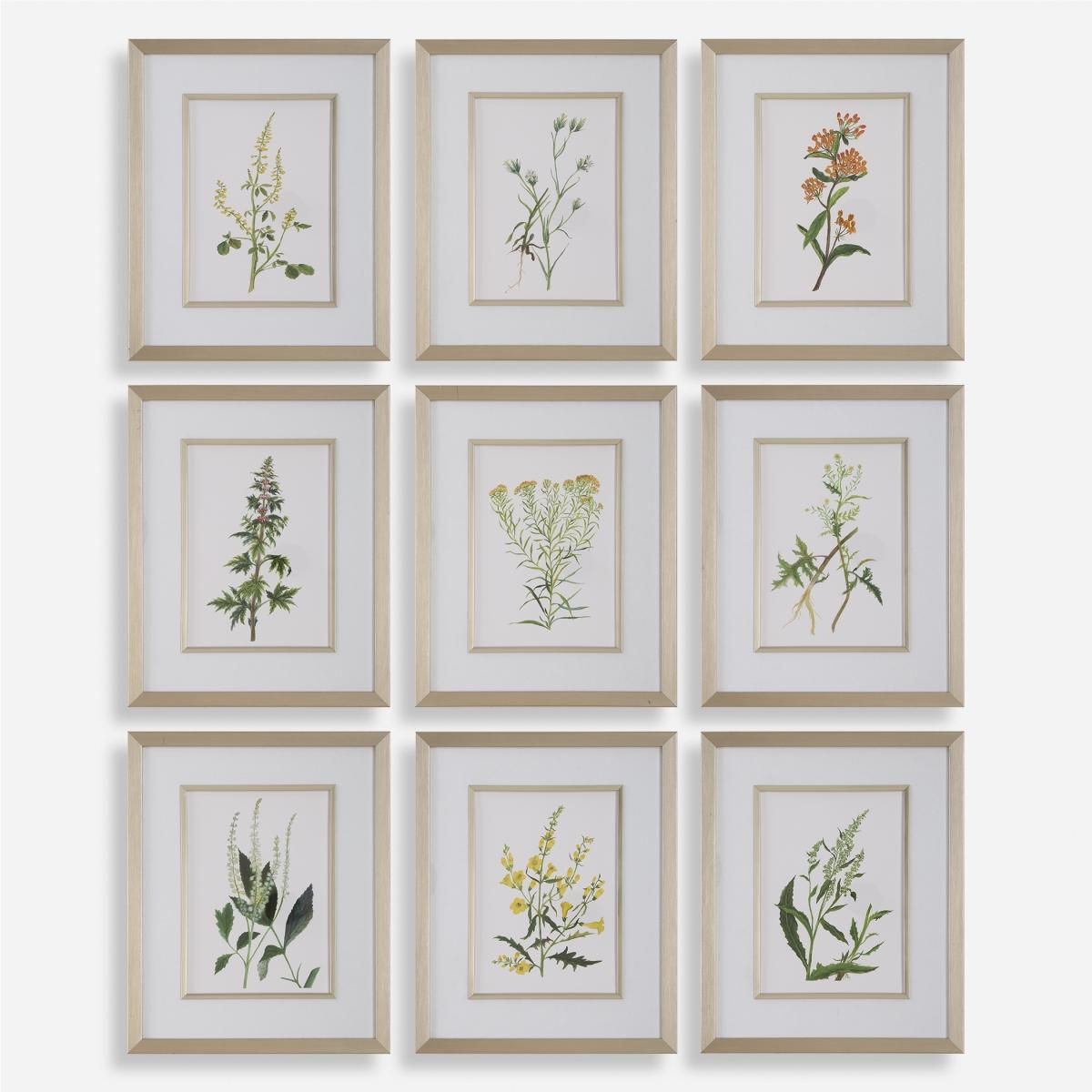 32339 Botanical Flowers Framed Prints - Set of 9
