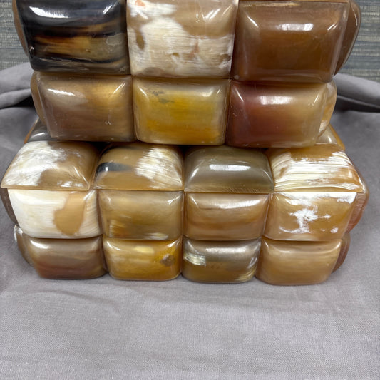 Tortoise Bone Box (sm)