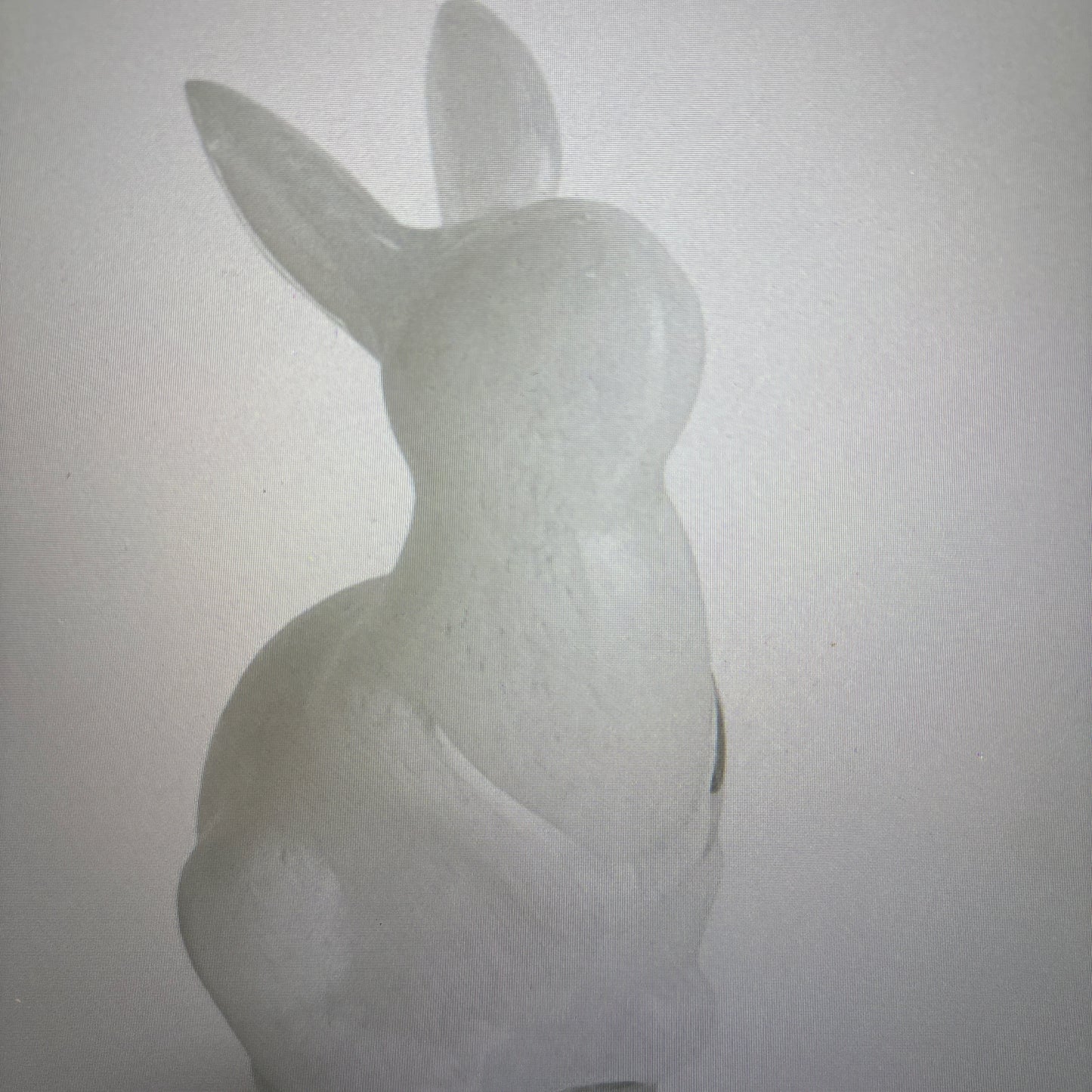Daisy Mae Bunny Large