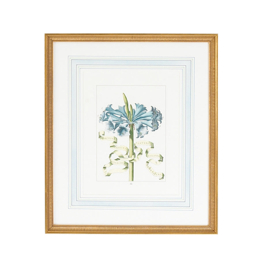 Bi Floral Ribbon-D