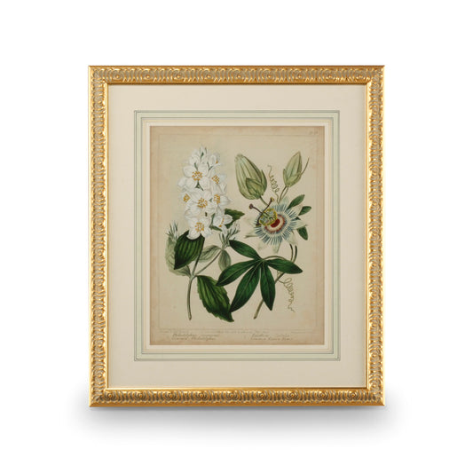 Cottage Floral II-ART