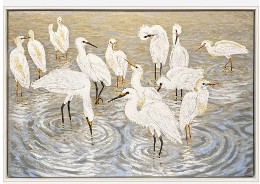 Herons And Egrets