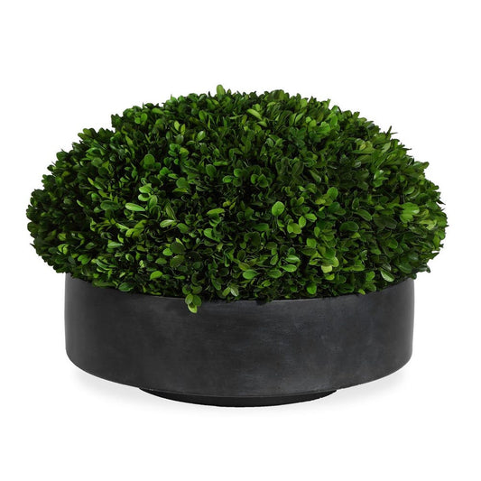 Boxwood centerpiece