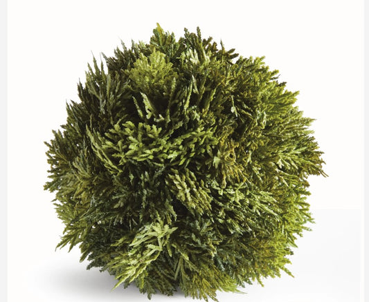 Cypress Orb (6.5")