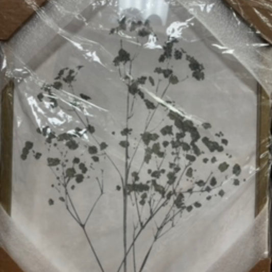 Gypsophilia framed art