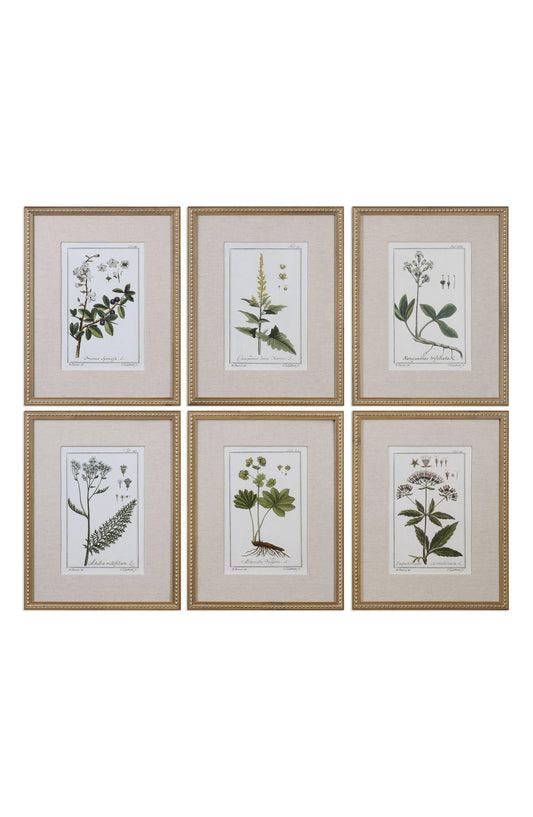 Green Floral Botanical Study Wall Art-Pair remaining(sold seperately)