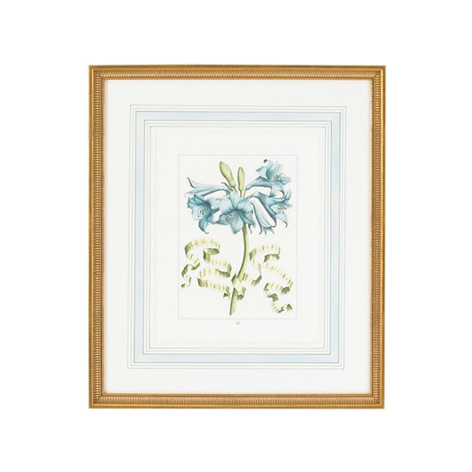 Bi Floral with Ribbon-C