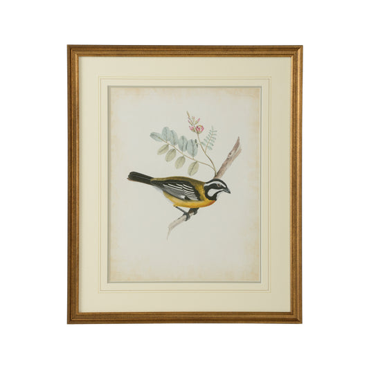 Delicate Birds V