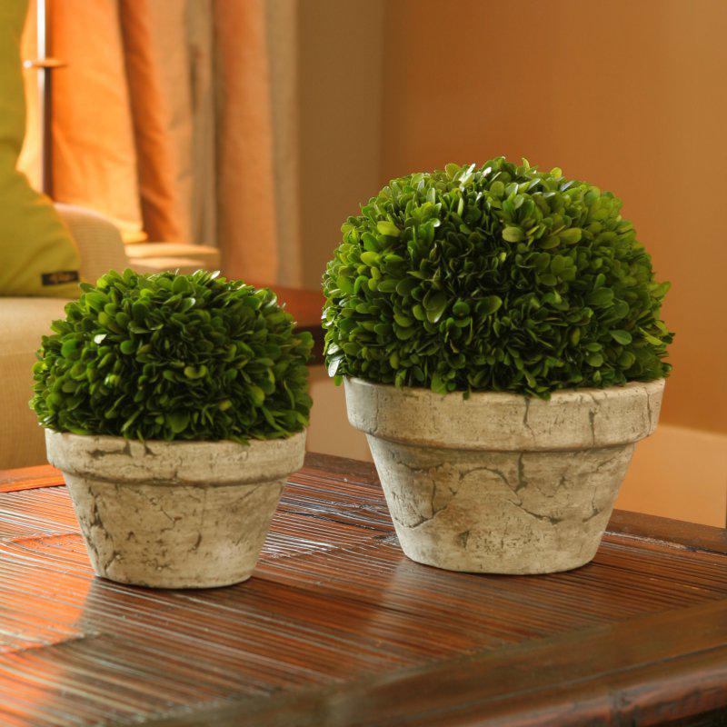 Preserved Boxwood Ball with Gray Pot