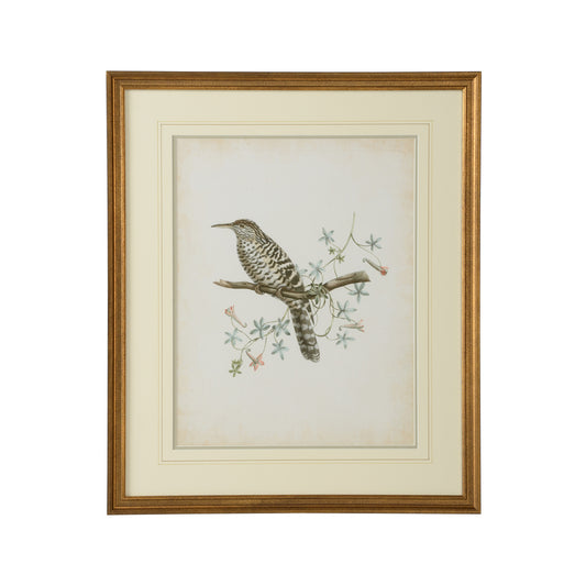 Delicate Birds II