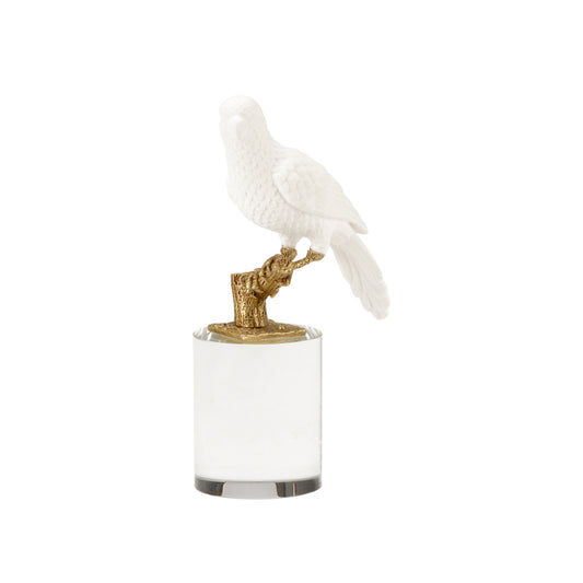 Parrot on Crystal