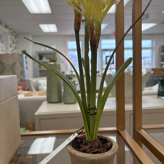Faux flowers