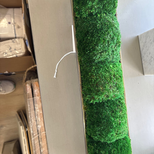 Potted greenery
