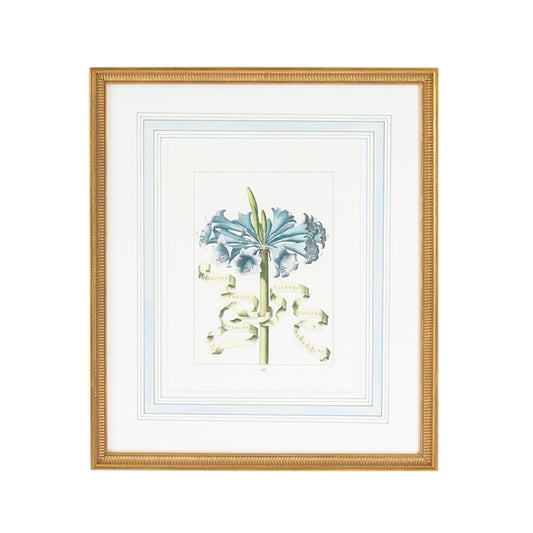 Bi Floral Ribbon-D